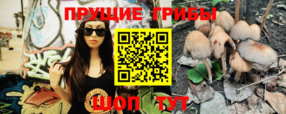 Псилоцибиновые грибы ЛСД  Псилоцибиновые грибы MAGIC MUSHROOMS  Вход с VPN  Назрань 